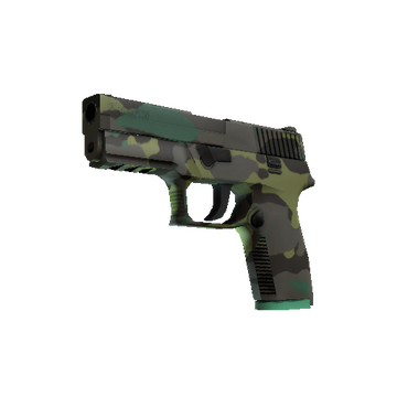 P250 Boreal Forest
